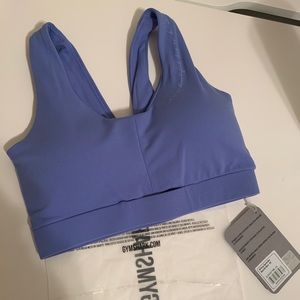 WS X GS beautiful blue sports bra